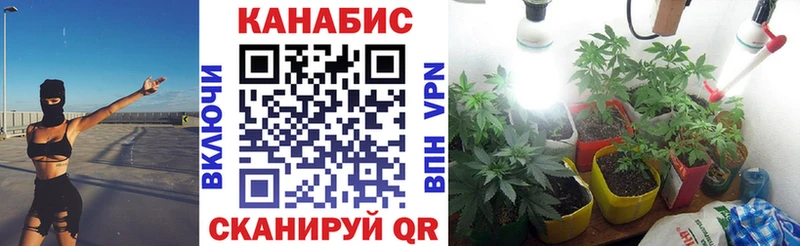 APVP Ртищево