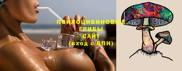 скорость Елизово