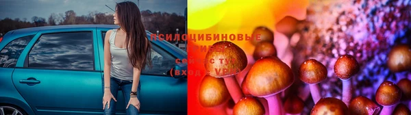 дмт Елабуга