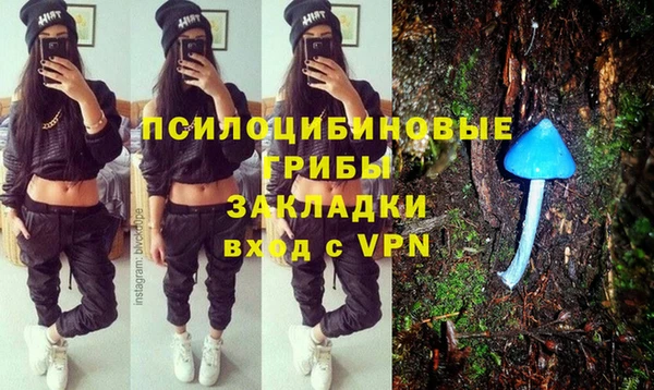 дмт Елабуга