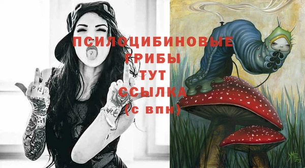 скорость Елизово