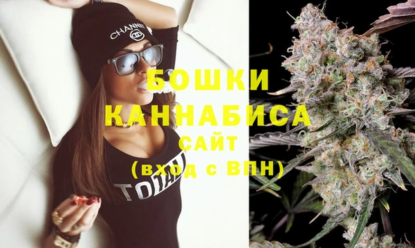 дмт Елабуга