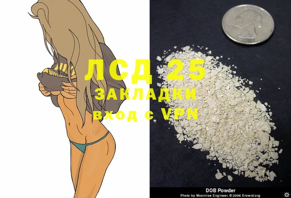скорость Елизово