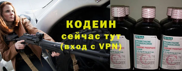 дмт Елабуга