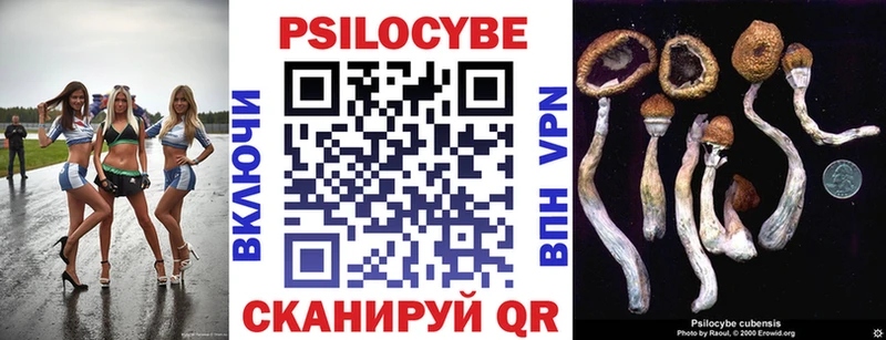 Галлюциногенные грибы GOLDEN TEACHER  Купить закладки  Ртищево 